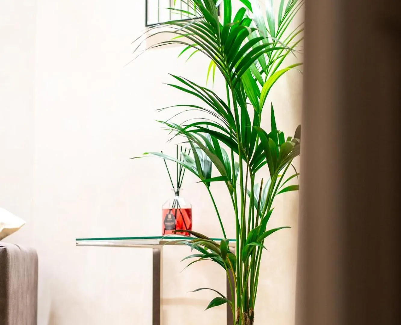 Apartment Paci Luxury Suite Rome